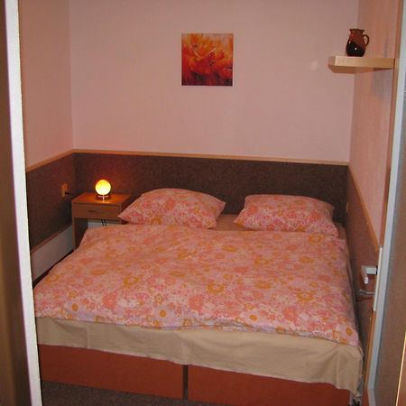 רוקיטניצה נאד איז'רו Apartma Gabriela מראה חיצוני תמונה